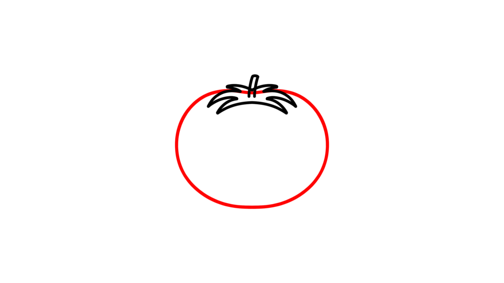 tomate boceto 1080p