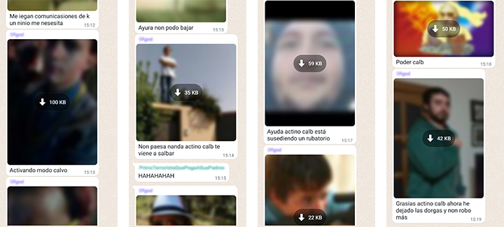 imgwtpp 01